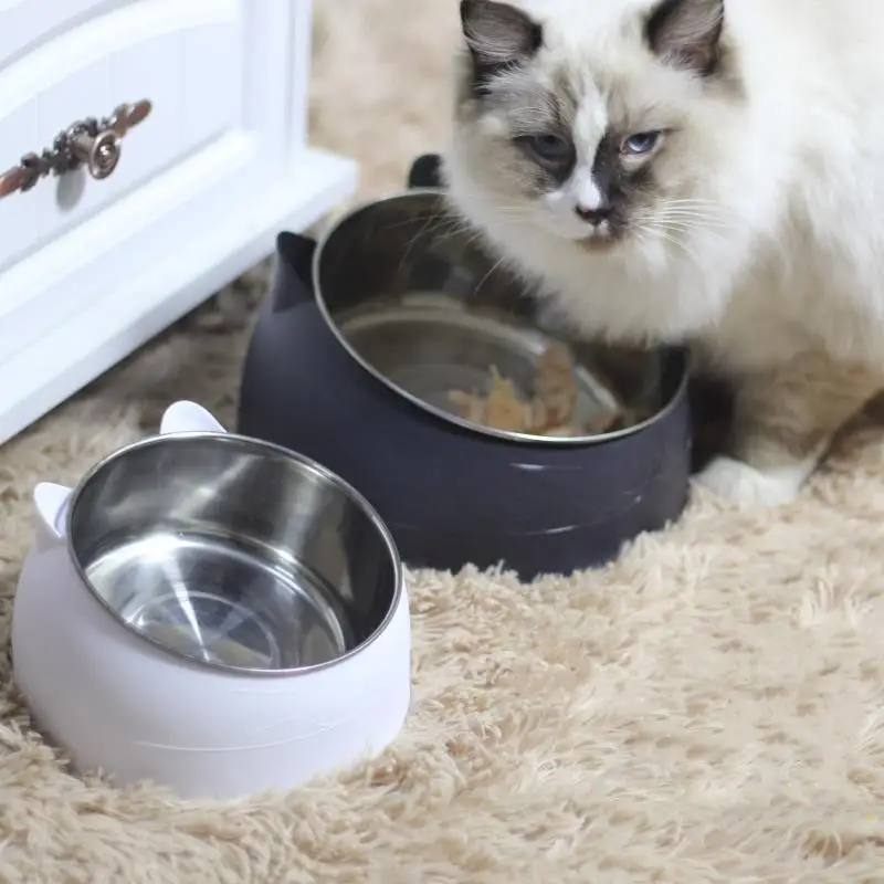 Tilted Raised Pet Feeding Bowl - Image 2