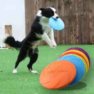 Silicone Dog Flying Disc