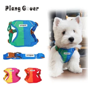 Small Dog Vest Harness Set