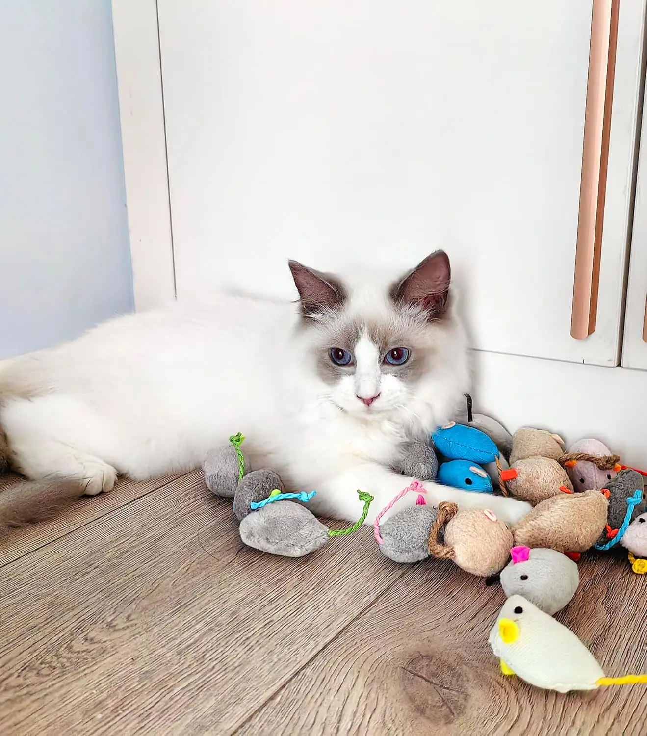Catnip Rattle Mouse Toys Set - Image 4