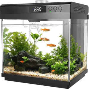 Small Glass Aquarium Starter Kit