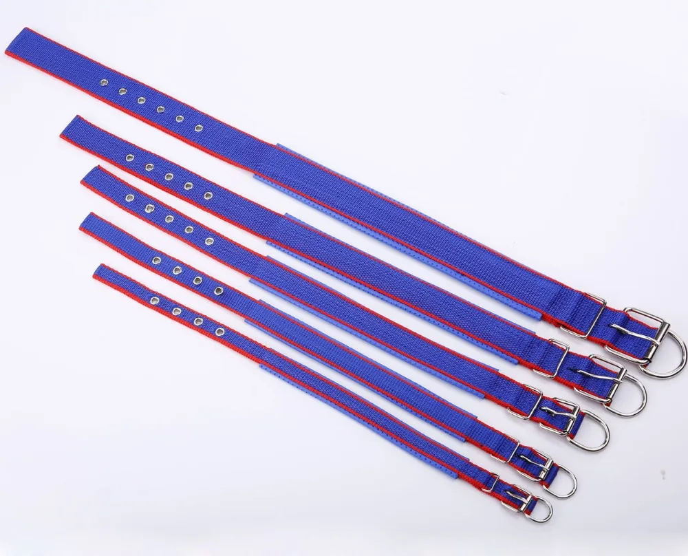 Adjustable Nylon Dog Collar - Image 3
