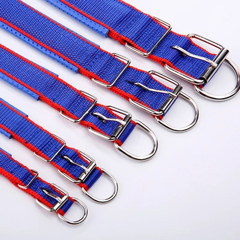 Adjustable Nylon Dog Collar - Image 4
