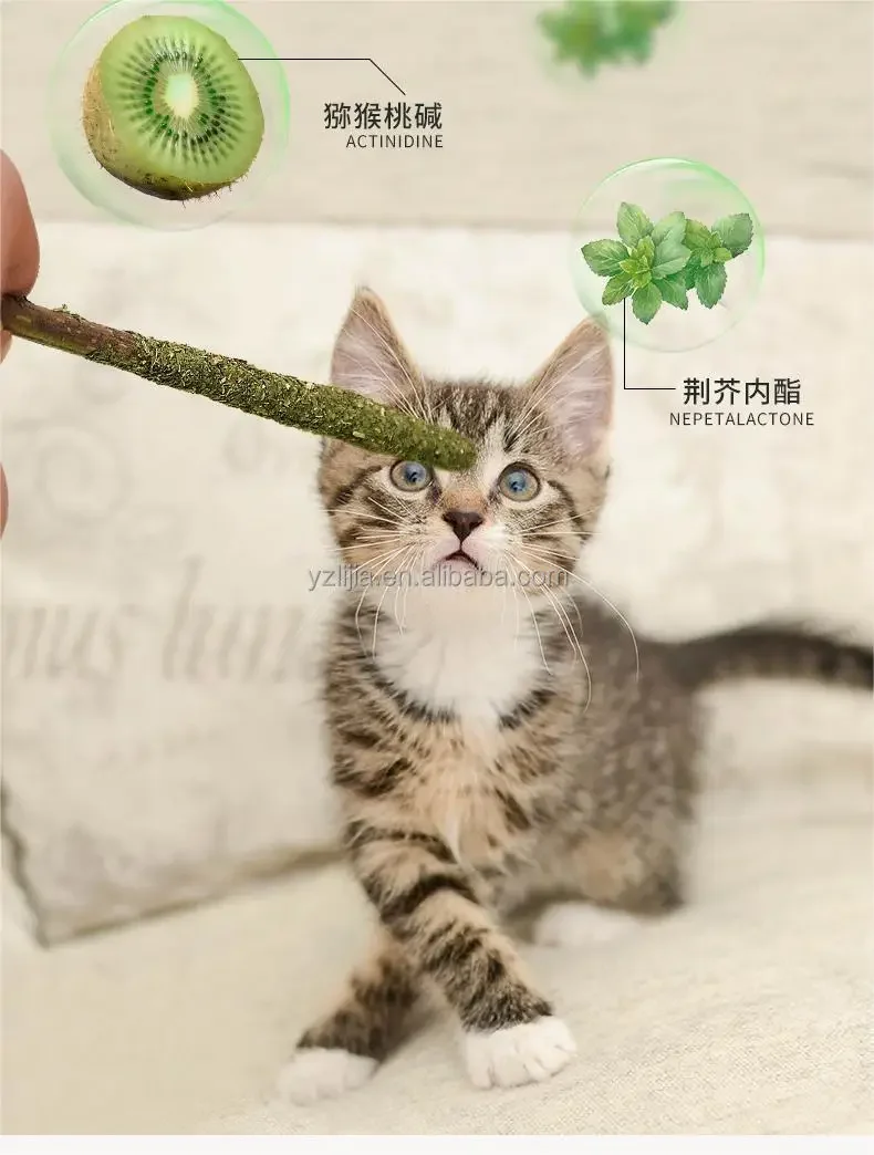 Natural Matatabi Cat Chew Sticks - Image 5