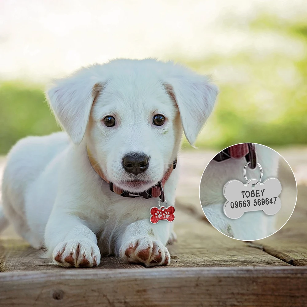 Personalized Bone-Shaped Pet ID Tag - Image 6