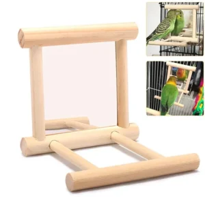 Bird Mirror Toy with Perch
