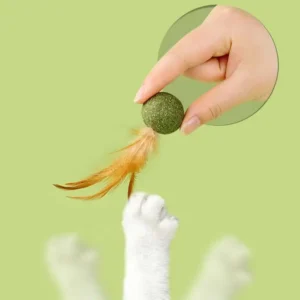 Catnip Feather Ball Lollipop Toy