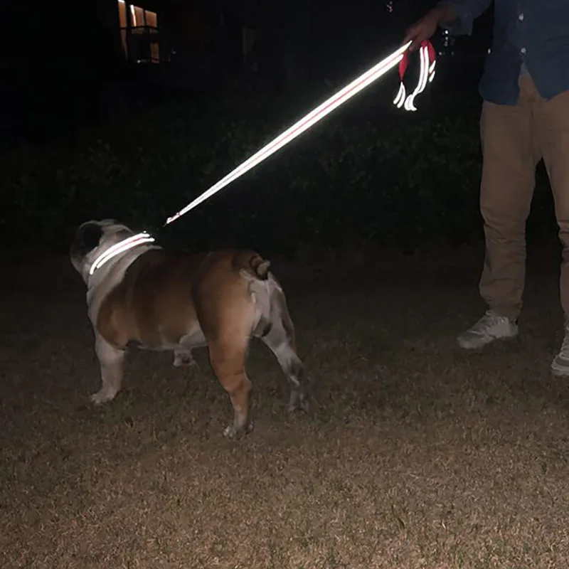 Reflective Pet Walking Leash - Image 2