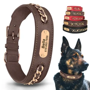 Custom Leather Dog Collar with ID