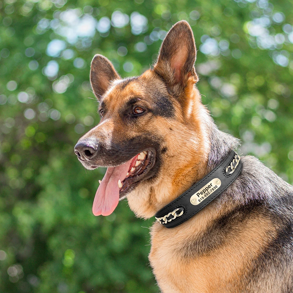 Custom Leather Dog Collar with ID - Image 5
