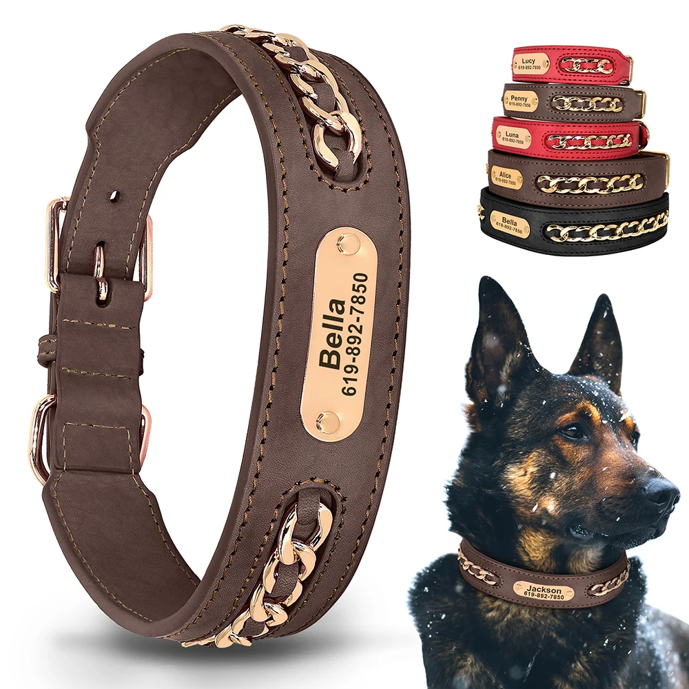 Custom Leather Dog Collar with ID