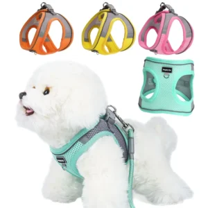 Adjustable Small Dog Harness Set