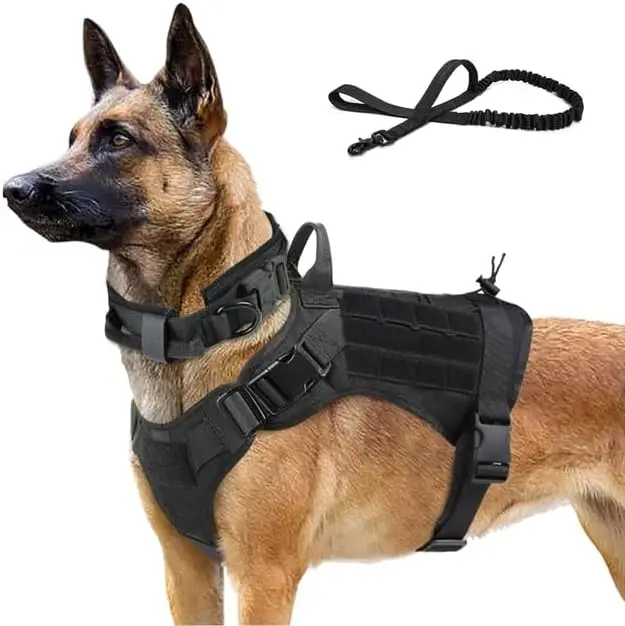No-Pull Dog Harness Set