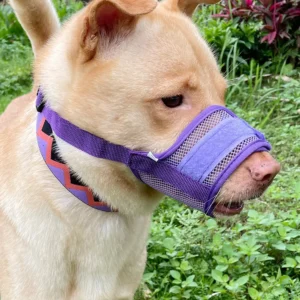 Adjustable No-Bite Dog Muzzle