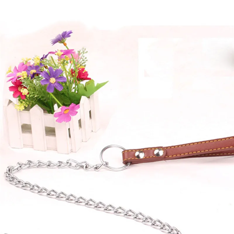 Durable Anti-Bite Dog Chain Leash - Image 3