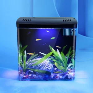 Mini Tabletop Fish Tank