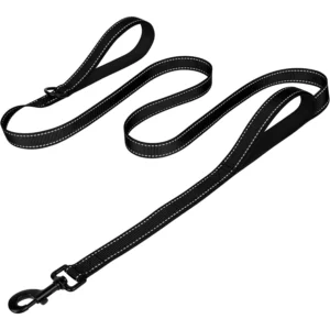 Double Handle Reflective Dog Leash