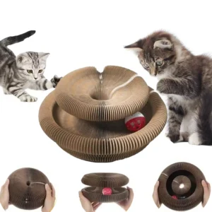 Interactive Corrugated Cat Toy