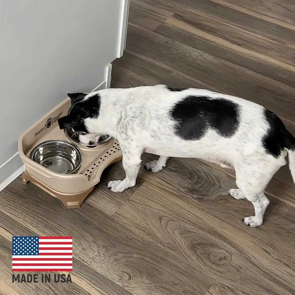Mess-Proof Elevated Dog Bowls - Image 5