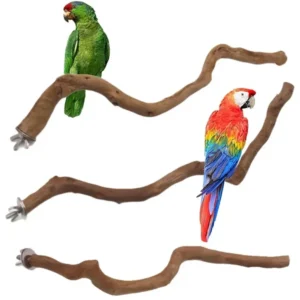 Natural Bird Perch Stand