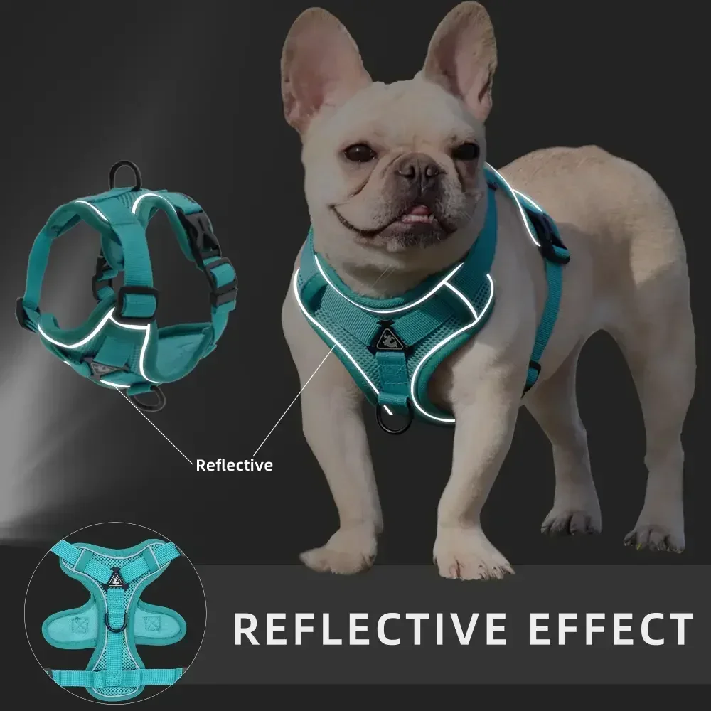 No Pull Adjustable Dog Harness - Image 5