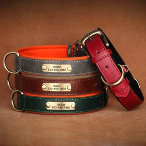 Custom Leather Dog Collar with ID