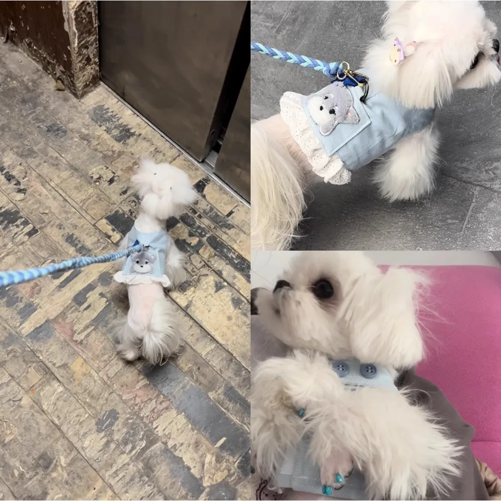 Custom Denim Dog Harness Set - Image 2