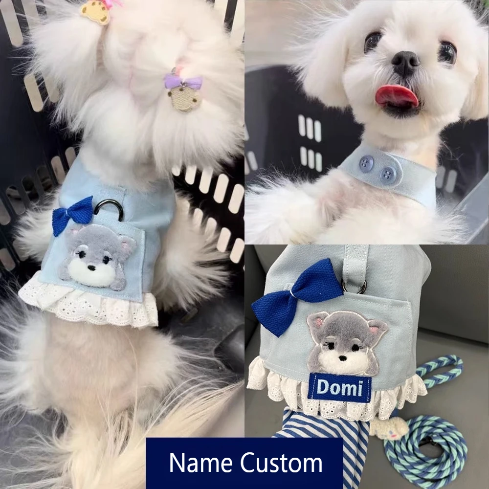 Custom Denim Dog Harness Set