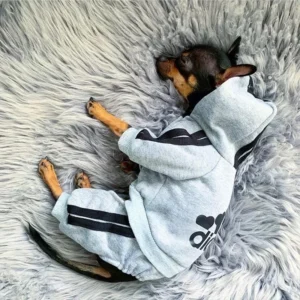 Comfy Dog Jumpsuit Outfit