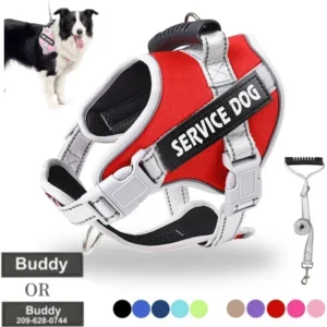 Service Dog Harness with Leash