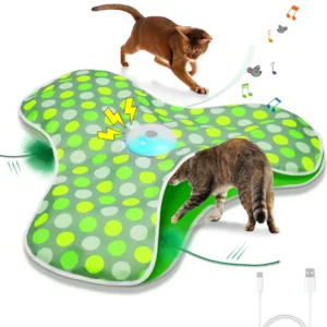 Interactive Motion Cat Teaser Toy
