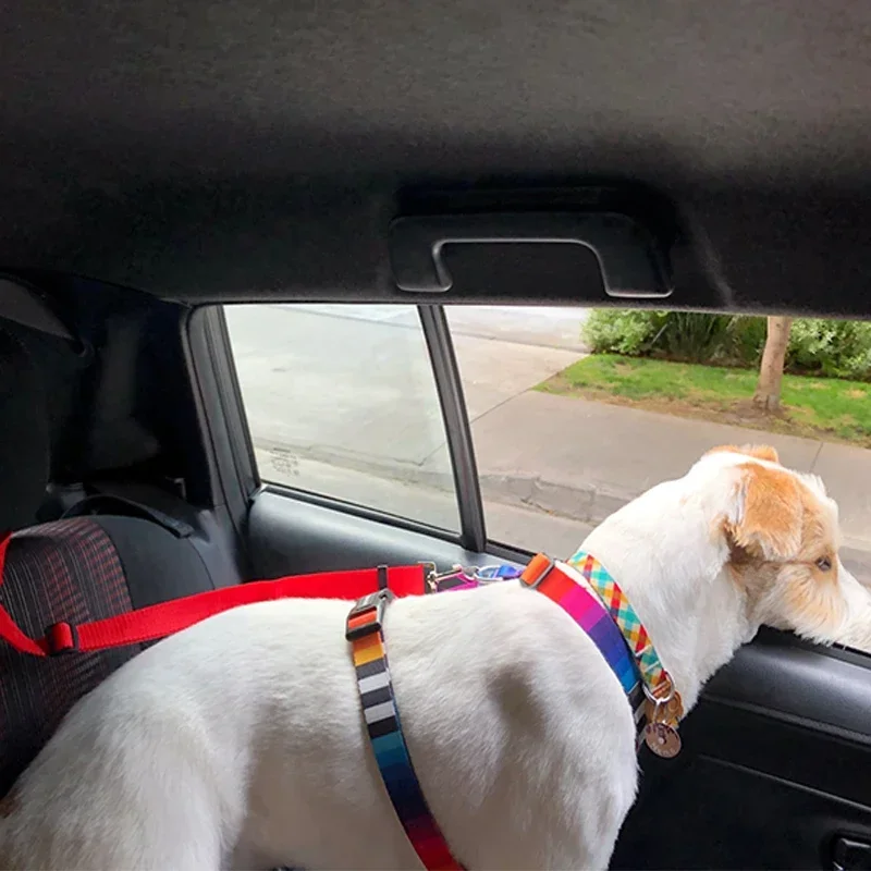 Two-in-One Pet Car Seat Belt - Image 4