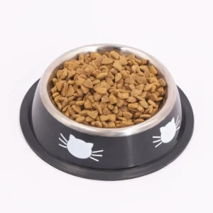 Insulated Non-Slip Pet Bowl