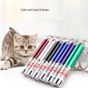 Teasing Laser Pointer for Pets