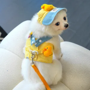 Duck & Frog Pet Harness Set
