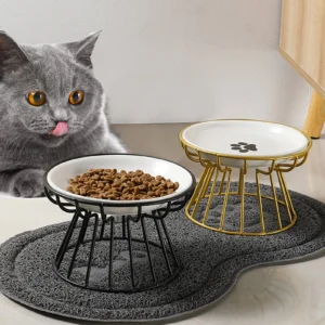 Whisker-Friendly Ceramic Cat Bowl