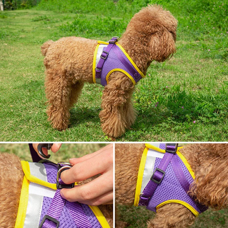 Reflective Pet Vest Harness Set - Image 4