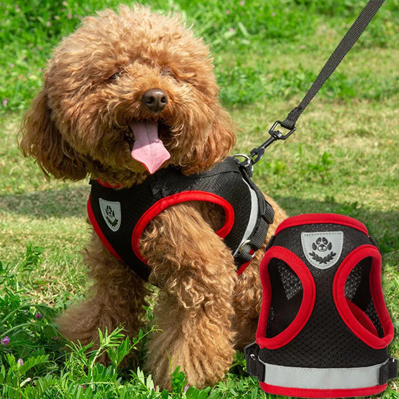 Reflective Pet Vest Harness Set